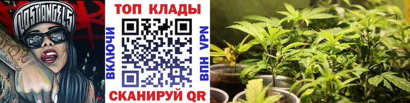 Где купить Тимашёвск Кокаин  Амфетамин  Гашиш  Канабис  Меф мяу мяу 
