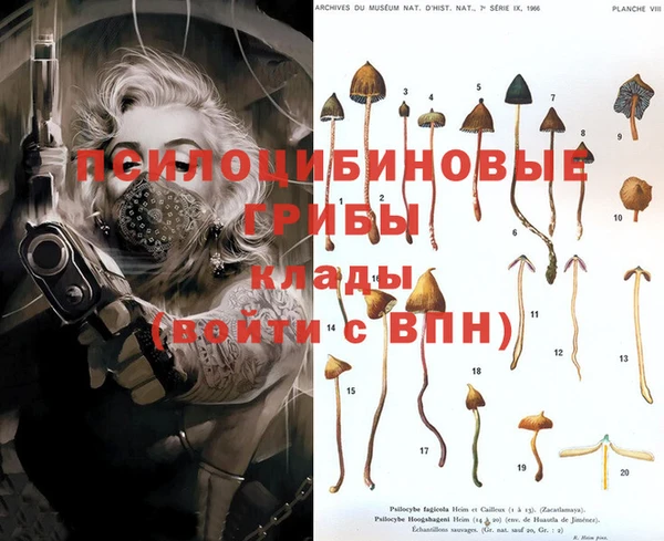 твердый Зеленокумск