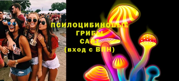 твердый Зеленокумск