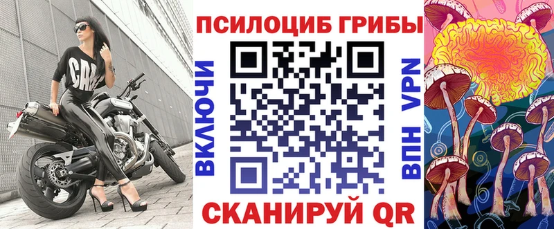 Псилоцибиновые грибы Magic Shrooms  купить закладку  Тимашёвск 